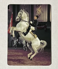 1 MODERN SWAP CARD LIPIZZAN WHITE HORSE SPANISH RIDING SCHOOL NOT A DECK PLAYING