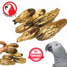 Bonka Bird Toys 2449 Pk6 Mahogany Pods Foot Talon Craft Part Parrot Chew Treat