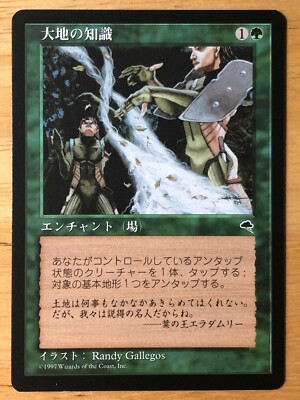 MTG 大地の知識　日本語　テンペスト Earthcraft Japanese Tempest TMP mtg NM- | eBay