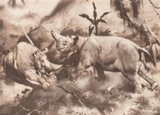 EGYPTIAN 50 million yr old ARSINOITHERIUM Sepia Print By Z Burian 1963 VF 9x13"