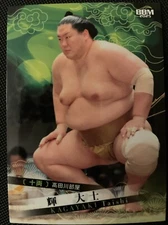 Kagayaki Taishi BBM 2025 Sumo No. 45