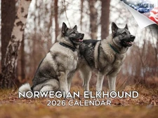 Norwegian Elkhound Dog Breed Calendar 2026 12x18 Made in USA