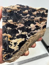 Large Roan Leopard Marble Rough Slab Cabbing Lapidary Combo Ship Avail