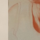 Foto 7 di 12