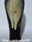 Foto 6 di 9