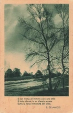 Postcard Italy. " And not a stem trembles in the still air" Poem