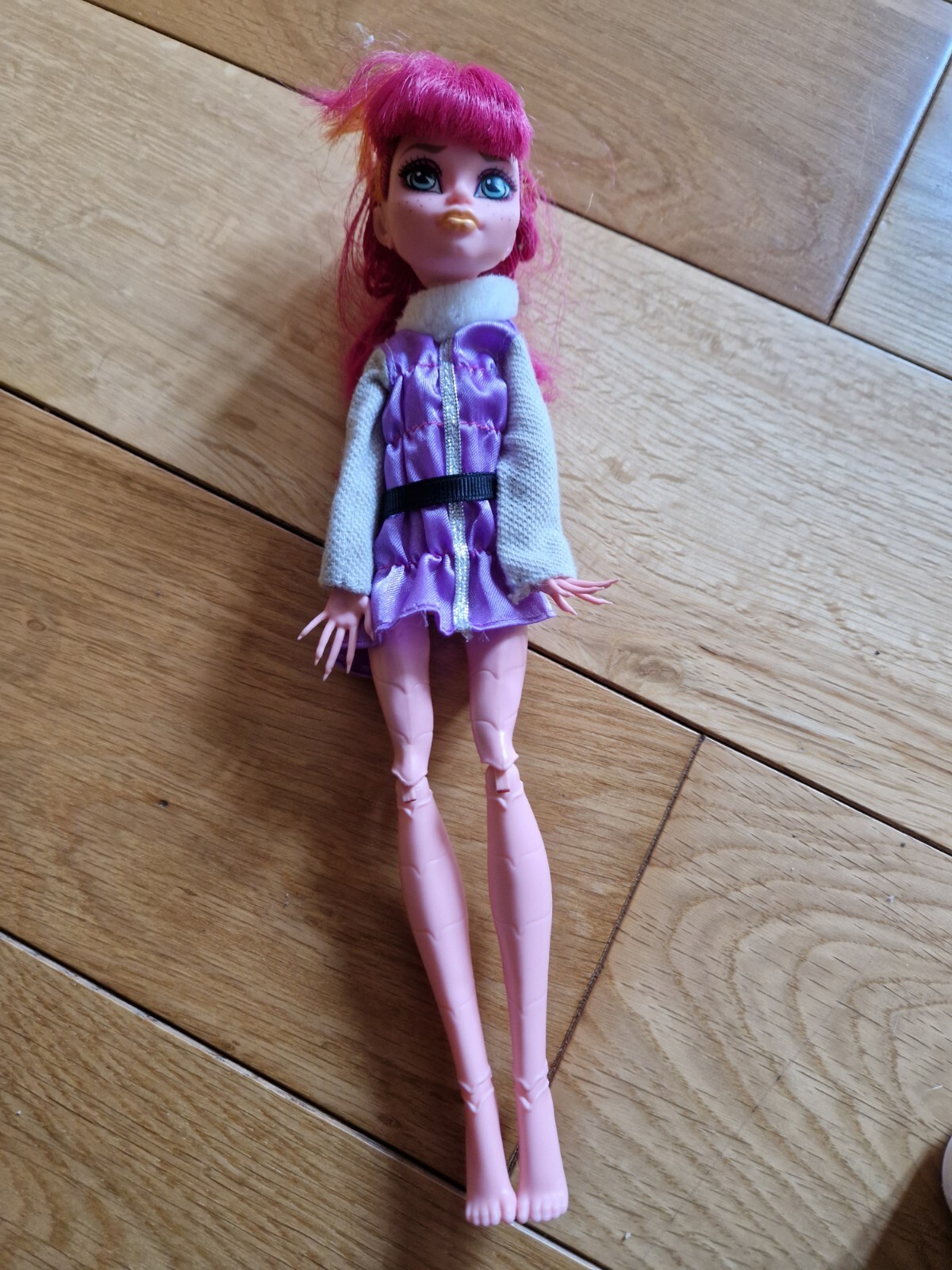 Monster High Doll eBay