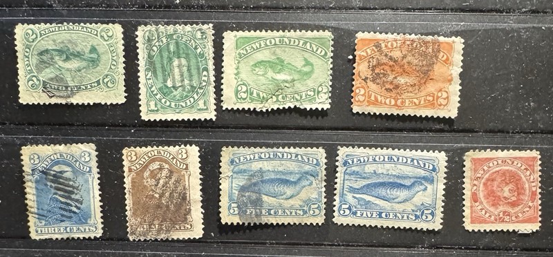 19th Century Newfoundland Stamps, Mixed Condition