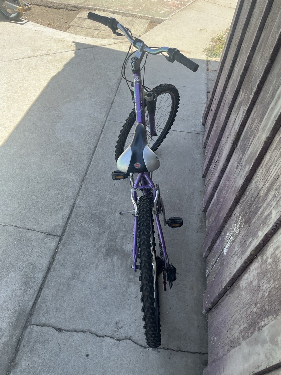 schwinn sx2000 aluminum purple | eBay