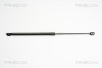 Triscan Heckklappen DäMpfer Gasfeder Kofferraum 8710 16249 FüR Ford Fiesta 6 CB1