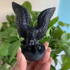 2.5" Natural obsidian Quartz Hand Carved eagle Skull Crystal Healing 1pc