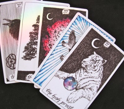 The Wild Unknown 1st First Edition Tarot Single Replacement Card Ebay