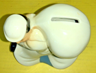 Foto 13 di 17