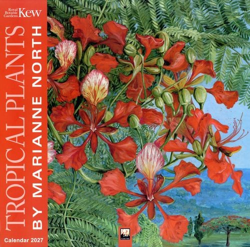 Kew Gardens: Tropical Plants
