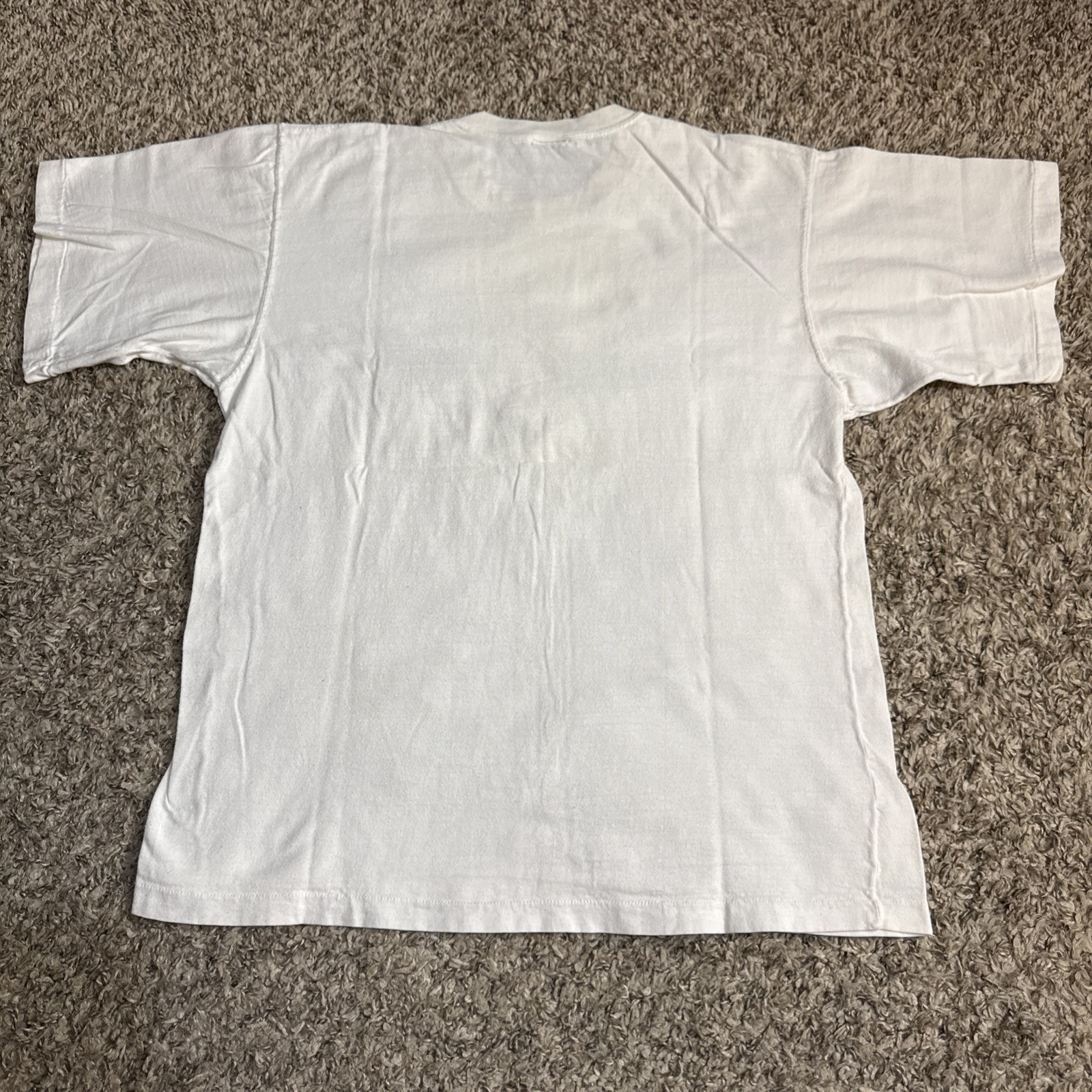 Picture 10 of 10