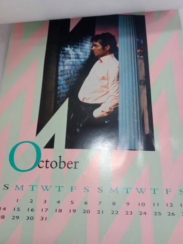 Michael Jackson 1984 Calendario Ufficiale, 12" X 16", VG - Foto 7 di 16