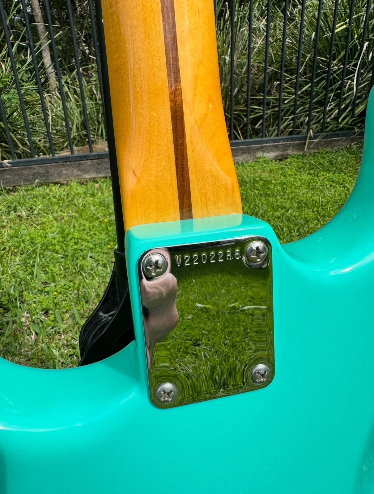 Picture 9 of 20