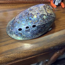 Abalone Shell Polished " Paua Rainbow LG Sea Green Blue New Zealand Paua