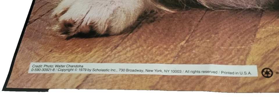 Vintage 70s 1979 Scholastic Puppy Dogs Poster Wall Art 18 x 23.5" Blue Border - Image 4 of 4