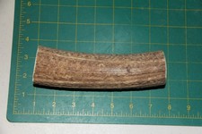Jumbo Elk Antler 34 dog chew base piece / chews deer chew XXL XL 222