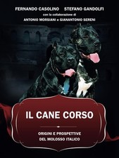 IL CANE CORSO: ORIGINI E PROSPETTIVE DEL MOLOSSO ITALICO (Italian