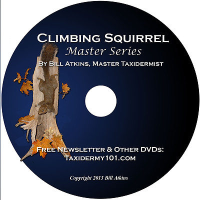 Learn Squirrel Taxidermy Training on DVD for Beginners, NEW!