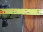 Picture 5 of 7