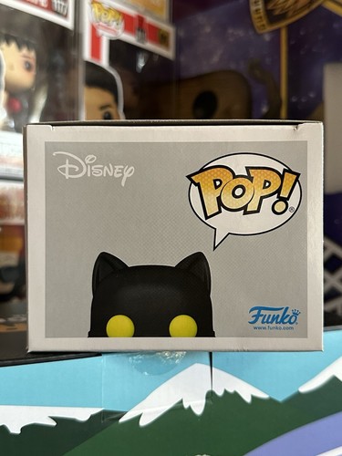 Funko Pop! Vinilo: Disney - Thackery Binx - Funko (Exclusivo) #1247 - Imagen 5 de 6