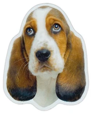 Magnetic Bumper Sticker - Basset Hound Dog Breed Magnet - Cars, Trucks, SUVs