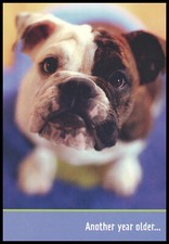 Greeting Card - Bulldog Dog Puppy - Birthday - 0576
