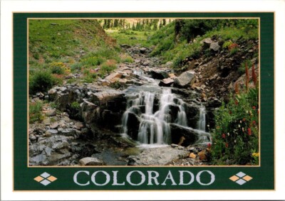 Mountain Stream Waterfall Rocky Mountains Estes Park Colorado c1990 Postcard