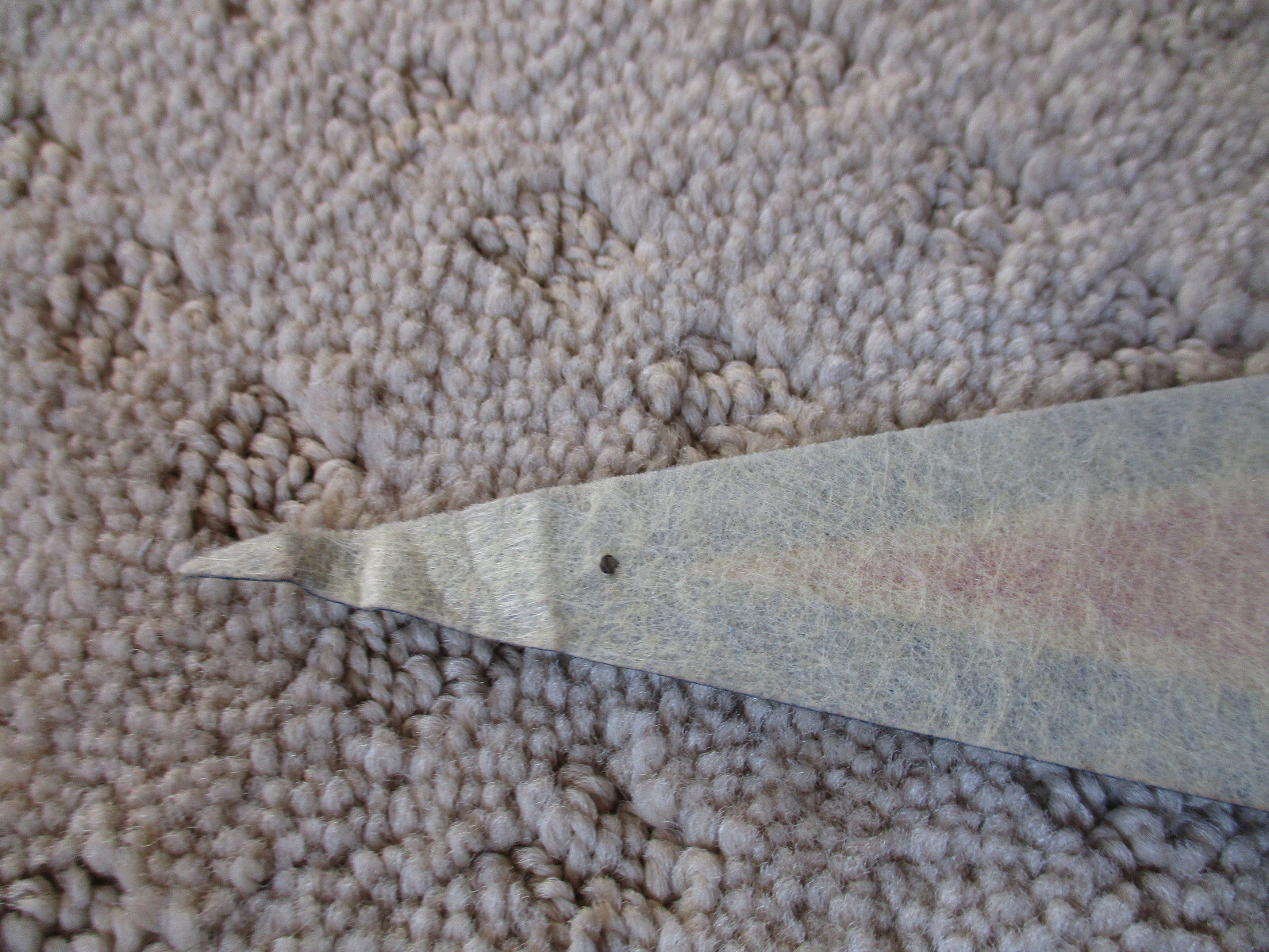 Picture 5 of 5