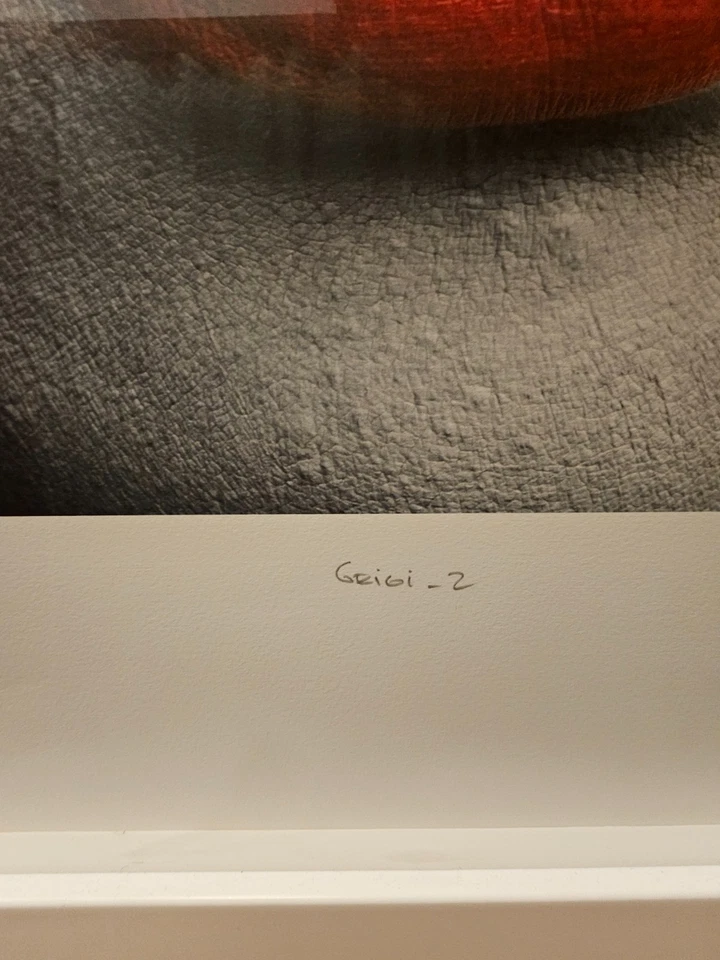 Geisha "Geigi" por Martin Rondeau, Firmado Original 36x24, Marco Calidad Museo Foto 3 de 4