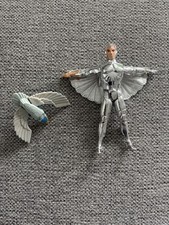  on The Hot Collector