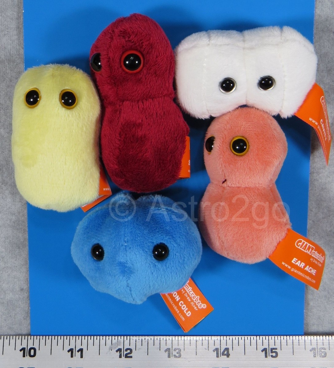 GIANT microbes COMMON COLD 青い丸いぬいぐるみ ボール 71FDdmncNVL._UF894,1000_QL80_.jpg