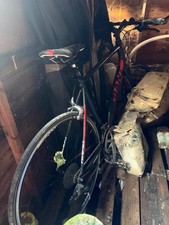 Giant Rapid Hybrid / Road Bike – Large Frame – Recently Serviced – Ready to Ride