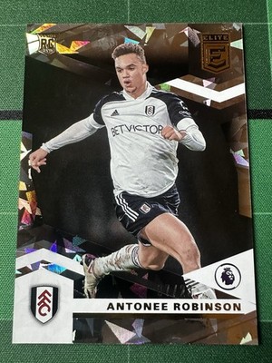 2020-21 Panini Chronicles Donruss Elite ANTONEE ROBINSON RC Cracked Ice /23