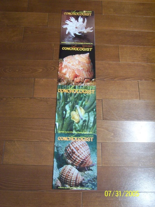 American Conchologist Magazine March, June, September, December 2013 Issues