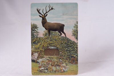 Wilkes-Barre PA Elk Monument Elk's Memorial Court House Luzerne County Postcard