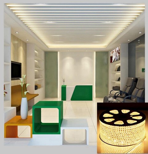 AC 220V 240V 3014 LED Strip Lights Dimmable Flexible Rope Band Lights Remote - Picture 2 of 13