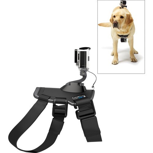 GoPro Fetch Dog Harness - New