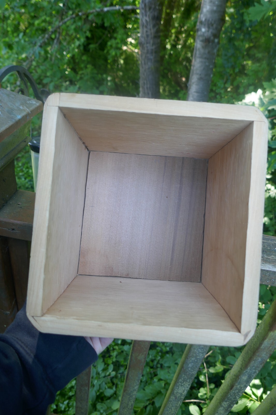 Picture 9 of 13