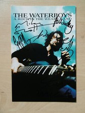 The Waterboys "Mike Scott" autograph signed 10x15 cm postcard