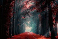 Landscape nature fall path mist red leaves trees Custom Gaming Mat Desk