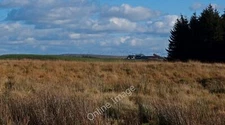 Photo 12x8 Moyne Moor Gabroc Hill Driffenbeg Farm and the large Whitelee w c2011