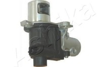 Ashika AGR Ventil 150-01-103 FüR Renault Clio 2 Kangoo FC0 KC0 Megane LM0 KM0 1
