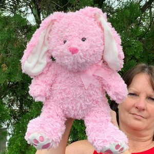 hugfun plush bunny