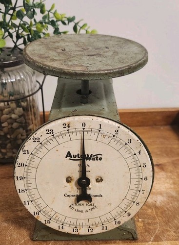 Vtg Auto Wate USA 25lb Farmhouse Mercantile Kitchen Scale Green Chicago WORKS