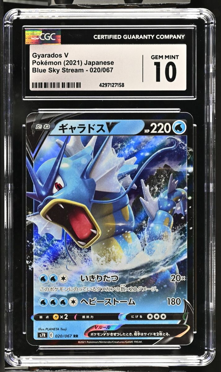 CGC Graded 10 Gem Mint Gyarados V 020/067 Blue Sky Stream CGC Graded 10 Gem Mint Gyarados V 020/067 Blue Sky Stream
