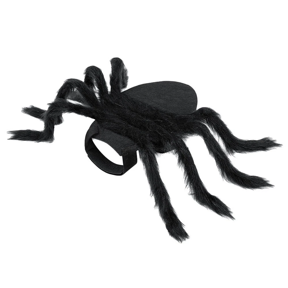 Large dog spider clearance costume
